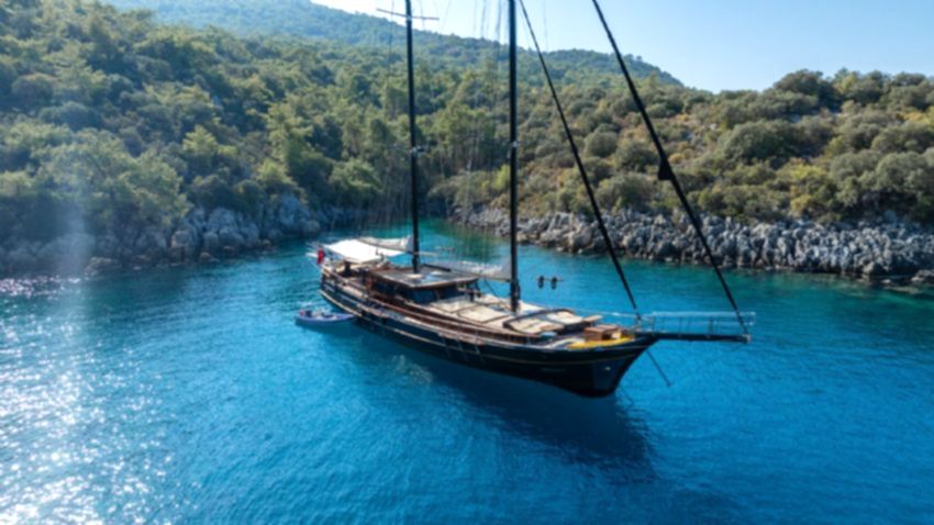 Arielle 1 Dış Görünüm