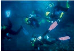 DALIŞ TURU FETHİYE