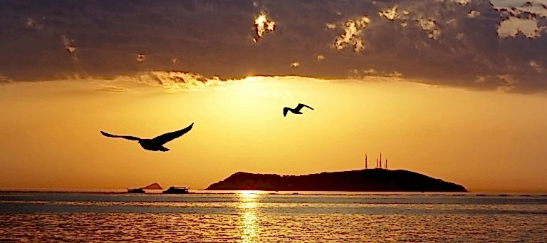 Fethiye Mavi Tur Rotaları